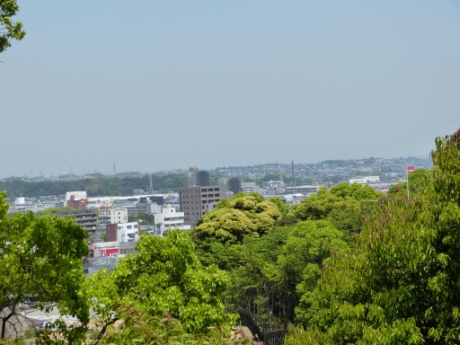 画像66